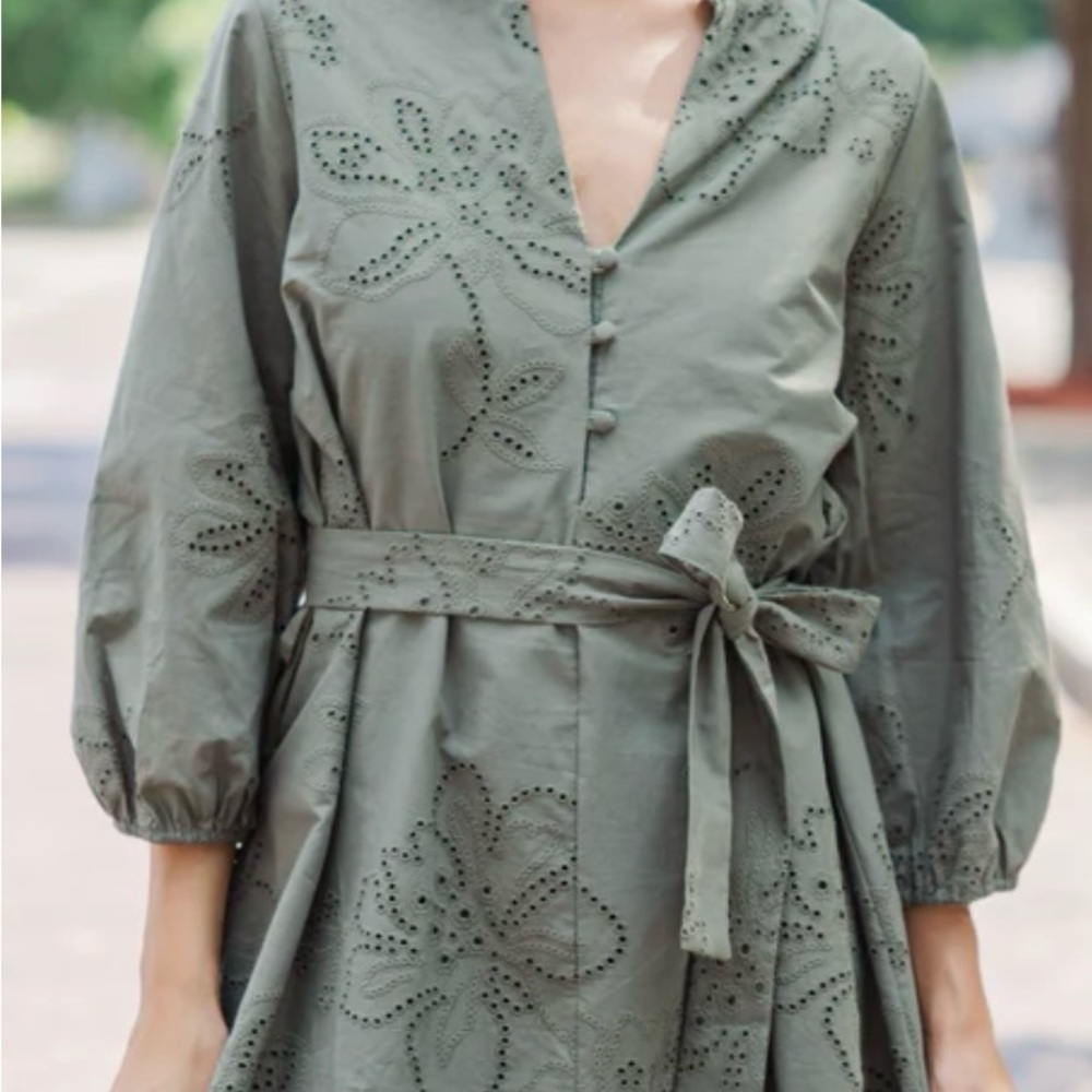 Chic Long Sleeve Embroidered Dress in Olive